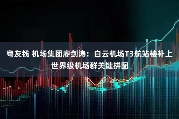 粤友钱 机场集团廖剑涛：白云机场T3航站楼补上世界级机场群关键拼图