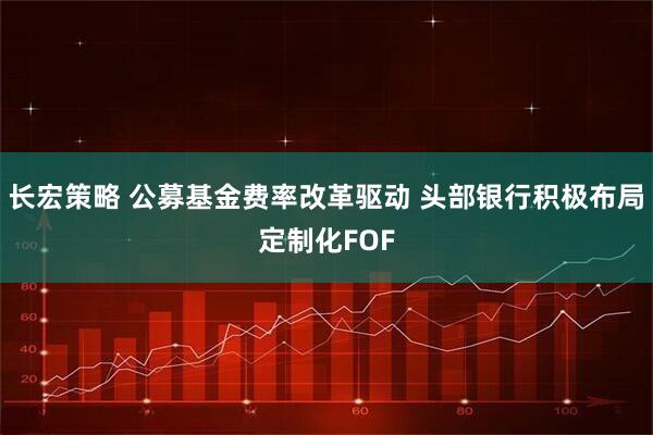 长宏策略 公募基金费率改革驱动 头部银行积极布局定制化FOF
